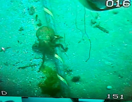 cable-2022-07-04-11-19-09.1200x800-ms cable-2022-07-04-11-19-09.1200x800-ms